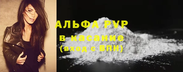 ешки Белокуриха