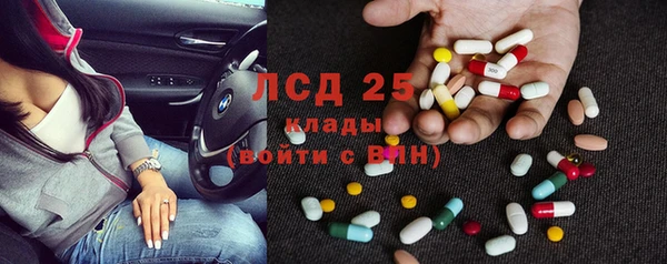 ПСИЛОЦИБИНОВЫЕ ГРИБЫ Богданович
