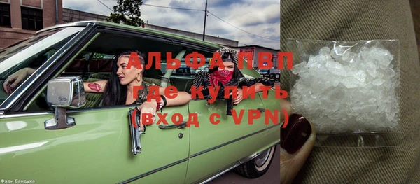 ПСИЛОЦИБИНОВЫЕ ГРИБЫ Богданович