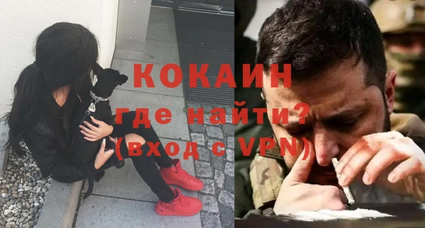 ешки Белокуриха