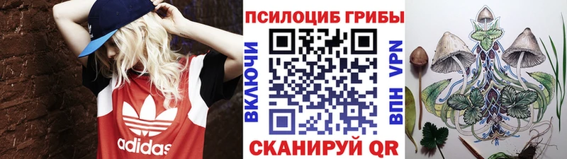 мориарти клад как найти закладки Богданович Галлюциногенные грибы Cubensis